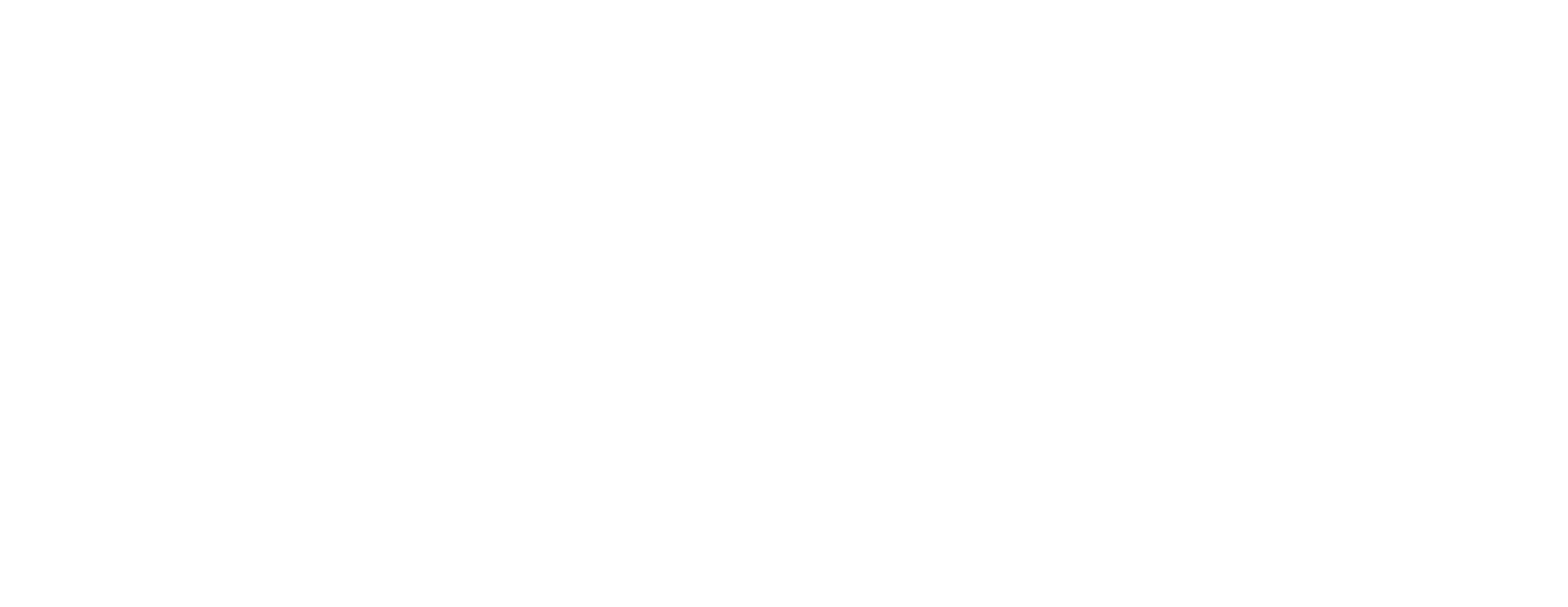 ScontoTu Logo